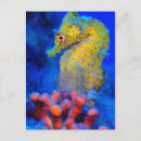 Suche nach hippocampus postkarten Ozean