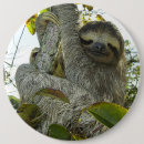 Suche nach faultier buttons Für alle