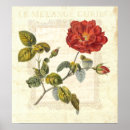 Suche nach vintage country poster Blume