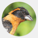 Suche nach gro aufkleber Grün