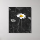 Suche nach abgeschieden leinwandbilder Jede person