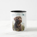Suche nach schokolade labrador trinkgefäße Welpe