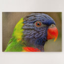 Suche nach parrot puzzle Rätsel