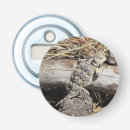 Suche nach hornig Reptil
