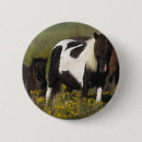 Suche nach fohlen buttons Miniatur