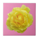 Suche nach gelbe rose fliesen Blume