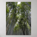 Suche nach bambuswald poster Japan