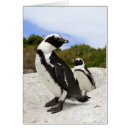 Suche nach pinguinkarte Pinguine
