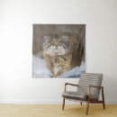 Suche nach pallas katze Manul