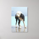 Suche nach nass leinwandbilder Hund