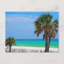 Suche nach florida palmen postkarten Ozean