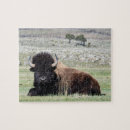 Suche nach bison puzzle Montana