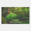 Suche nach orang utans aufkleber Menschenaffen