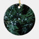 Suche nach strauß ornamente Natur