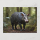 Suche nach tapir postkarten Wildtiere