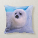 Suche nach arktisches tier kissen Siegel