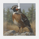 Suche nach kleine vögel ornamente Natur