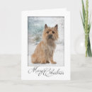 Suche nach cairn terrier karten Weihnachten