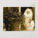 Suche nach auf der spitze postkarten Foto