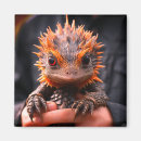 Suche nach babydrache magnete Fantasiewesen