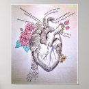 Suche nach anatomy poster Heart