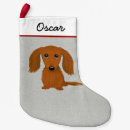 Suche nach dackel weihnachts strümpfe Hund