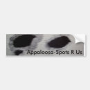 Suche nach appaloosa autoaufkleber Reiter