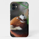 Suche nach gefährdet iphone hüllen Katze
