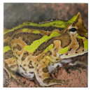 Suche nach brasilianisch fliesen Tier