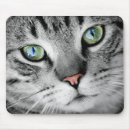 Suche nach katzen mit grünen augen mousepads Für alle