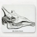Suche nach überreste mousepads Tier