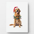 Suche nach golden retriever fotoplatten Lustig