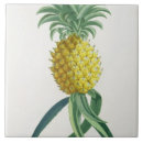 Suche nach veg fliesen Botanisch