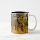 Suche nach simbabwe tassen Natur