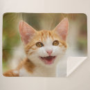 Suche nach meow decken Niedlich