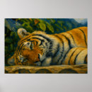 Suche nach wilder tiger poster Große katze