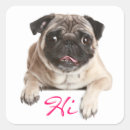 Suche nach liebe mops aufkleber Welpen