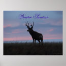 Suche nach bock poster Jagd