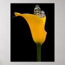 Suche nach gelber schmetterling poster Flügel