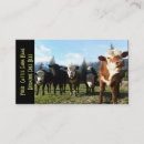 Suche nach herde visitenkarten Landwirtschaft