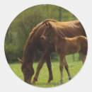 Suche nach stute aufkleber Reiter