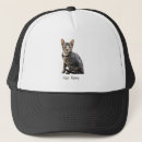Suche nach tomcat kappen Katze
