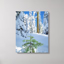 Suche nach schneebedeckter wald kunst Tanne
