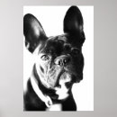 Suche nach französische bulldoggen poster Hund