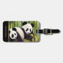 Suche nach pandas gepäckanhänger Bär