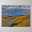 Suche nach aspen poster Tree