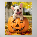 Suche nach jackolantern poster Witzig