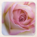 Suche nach rosa rosen untersetzer Blume