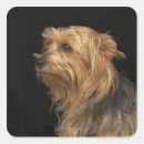 Suche nach profile aufkleber Hund