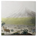 Suche nach alexander fliesen Humboldt